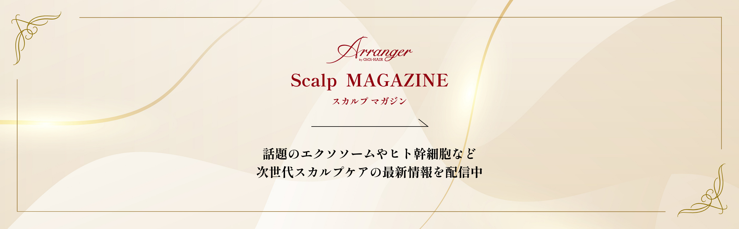 スカルプマガジンへ