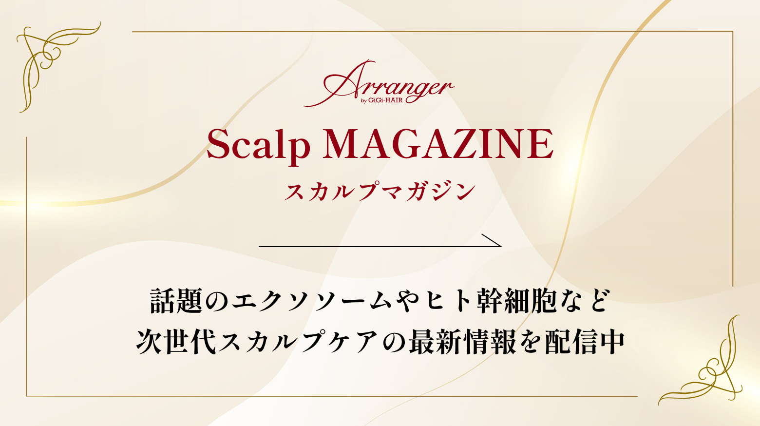 スカルプマガジンへ