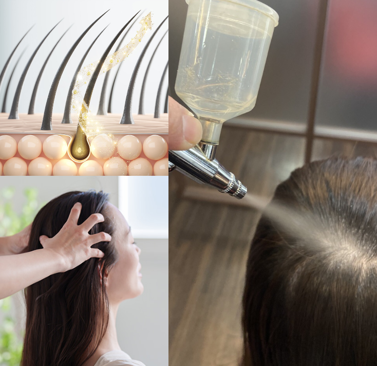 アランジェヘアーイメージ